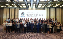 Tiêu chuẩn chọn hồng sâm 6 năm tuổi hỗ trợ sức khỏe