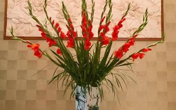 Mồng 1 tháng Chạp: 5 loại hoa dâng bàn thờ đúng lễ nghi, chuẩn phong thuỷ, bề trên ưng ý