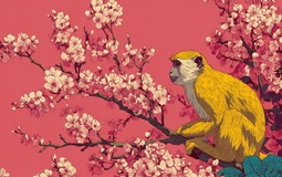 3 con giáp được quý nhân phù trợ nhiều nhất tháng 12 Âm lịch