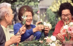 Sau nghỉ hưu, cả tin khi tham gia các nhóm người cao tuổi: Cái giá phải trả không hề nhỏ