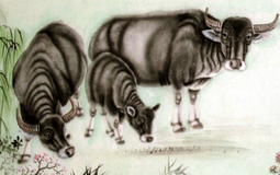 Nửa đầu năm mở vận: 4 con giáp sự nghiệp hanh thông, thu nhập tăng tốc, tiền bạc và quý nhân cùng lúc xuất hiện