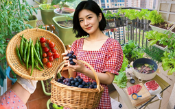 Tôi bắt đầu trồng rau tại nhà vì nghĩ cho vui, 3 tháng sau nhận ra mình đã tiết kiệm được một khoản không nhỏ