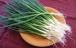 Ít người biết: Nhiều loại rau quen thuộc chứa “kháng sinh tự nhiên”, rất tốt cho sức khỏe khi trời lạnh