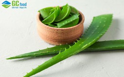 Tìm hiểu về nha đam: Công dụng, cách dùng và những điều cần lưu ý