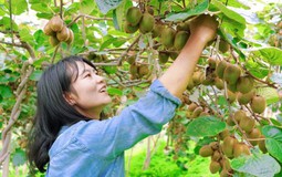 Lớn rồi mới biết: Người dạy tôi cách giàu lên không phải thầy tài chính, mà là mẹ tôi ở quê