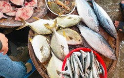 Người bán cá rất sợ bạn hỏi 5 câu này khi đi chợ