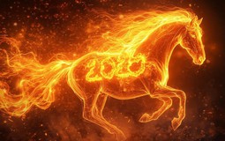 Năm Bính Ngọ 2026 có 4 con giáp cần thận trọng trong công việc làm ăn để tránh rủi ro, bảo toàn tài lộc