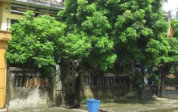 Cửa nhà có 3 thứ này, cả người lẫn của đều lao đao: Sai lầm phong thủy nhà nào cũng nên tránh