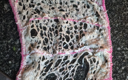 Nhìn thấy 8 món này trong bếp mà rùng mình: Trông vô hại nhưng chúng lại âm thầm bào mòn sức khỏe cả nhà