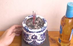 Khi nào nên tỉa chân hương: Rằm, ngày Ông Công Ông Táo hay cuối tháng? Tỉa xong để lại bao nhiêu nén?