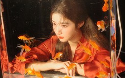 Tử vi chiêm nghiệm ngày 27/1: Tuổi Mão cần học cách "buông", tuổi Dậu coi chừng ví tiền vì phút bốc đồng