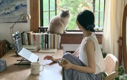 Vừa mua căn hộ tầng 26, tôi hối hận và bán gấp để xuống tầng 5: Bài học đắt giá không có trong quảng cáo