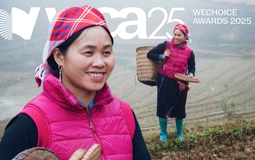 Chị Vàng Thị Thông: Người kể câu chuyện bản làng bằng ngôn ngữ của thời đại mới