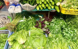 Loại rau tốt bậc nhất thế giới, bổ ngang nhân sâm tổ yến, chợ Việt bán đầy từ 15.000 đồng/kg