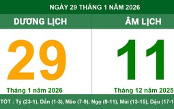 Lịch âm ngày 29/1/2026 (tức ngày 11 tháng Chạp năm Ất Tỵ): Đừng để bị cuốn đi