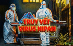 Truy vết virus Nipah