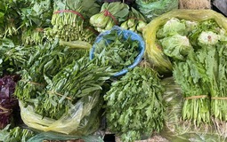 Loại rau tốt nhất thế giới, được chấm 100/100 điểm, chợ Việt bán từ 25.000 đồng/kg