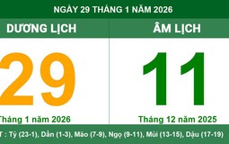 Lịch âm 30/1/2026 (tức ngày 12 tháng Chạp năm Ất Tỵ): Cơ thể bắt đầu lên tiếng