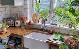 3 vị trí trong nhà thà để trống còn hơn trồng cây: Cây dễ chết, người uể oải