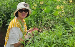 Ở tuổi 50, tôi đã không quá khủng hoảng khi nghĩ đến nghỉ hưu: Tất cả bắt đầu từ 500.000 đồng/tháng cách đây 10 năm