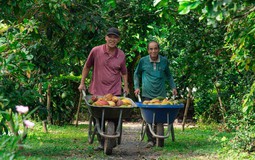 Sô-cô-la 60DAYS - Tinh hoa từ vùng đất ngọt lành