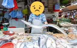 4 loại hải sản nhất định ĐỪNG MUA dịp sát Tết, người bán cũng phải thừa nhận: "Cho không chưa chắc dám ăn"