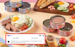 Phản ứng gây phẫn nộ của Fanpage Đồ hộp Hạ Long sau vụ nhập 120 tấn heo bệnh về chế biến pate, thịt hộp