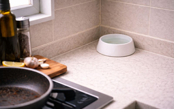 Mẹ dạy: Chỉ cần đặt một bát nước ở bếp - mùi chiên xào bay nhanh hơn hẳn mà không cần máy hút mùi