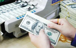 Kiều hối tăng mạnh: Nhà đầu tư BĐS ưu tiên dự án pháp lý rõ ràng