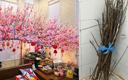 Miền Bắc lúc này: Đào chưa kịp Tết đã bung hết hoa, cả cõi mạng xin nhau tips “hoãn lại cái sự xinh đẹp ấy”
