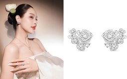 Có nàng hậu quốc tế diện trang sức cao cấp, netizen bóc ra mà phải ngã vì giá tiền và dung diện!