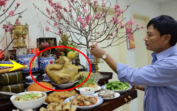 Gà cúng nên quay vào hay quay ra bàn thờ? Thì ra nhiều nhà đang làm ngược mà không biết