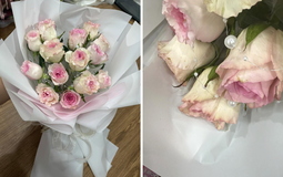 7749 drama hoa Valentine 27 Tết