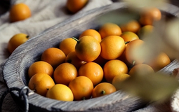 Loại cây "may mắn" ngày Tết của người Việt hóa ra quả cũng là vị thuốc bổ nhuận phổi, tiêu đờm, tốt cho tiêu hóa