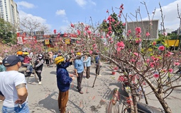 Chợ hoa 29 Tết: Tiểu thương hạ giá trước giờ G, không còn cảnh "đập chậu đốt hoa" như mọi năm
