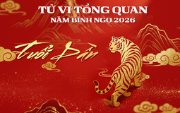 Tử vi tổng quan tuổi Dần trong năm Bính Ngọ 2026: Tam hợp chống lưng, giàu có viên mãn bậc nhất