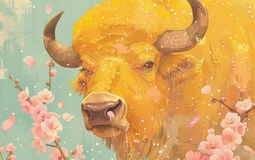 Chuyên gia phong thủy: Từ mai, 5 con giáp bùng nổ tài lộc đúng dịp Tết Bính Ngọ 2026, top 1 may mắn đỉnh cao