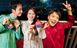 Nghệ sĩ Xuân Hinh, Hoà Minzy, Phương Anh Đào cùng dàn sao Việt chúc mừng một năm Bính Ngọ rộn ràng