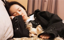 Bạn còn 3 ngày để ngủ 8 tiếng vẫn giảm 8kg như Lưu Diệc Phi