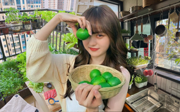 Từ chê “trồng rau là phong trào” đến nghiện thu hoạch: Lần đầu tôi hiểu vì sao người thành phố mê làm nông tại nhà