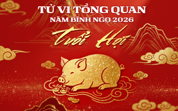 Tử vi tổng quan tuổi Hợi năm Bính Ngọ 2026: Quý nhân trợ giúp, sự nghiệp thênh thang, gặp hung hóa cát