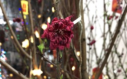 Qua mùng 8 Tết: Tiễn ngay 3 thứ này khỏi nhà kẻo xui cả năm, tiền làm bao nhiêu cũng hết sạch