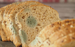 Ăn bánh mì mốc có sao không? 3 chuyên gia lên tiếng, câu trả lời khiến nhiều người rùng mình