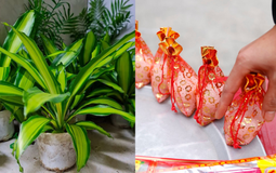 5 thứ NÊN mua ngày Thần Tài để xin vía, tiền bạc rốp rẻng cả năm