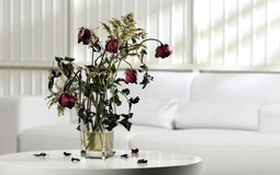 Sau Tết nhiều nhà mắc 5 lỗi phong thủy mà không biết: Bảo sao tiền bạc trôi tuồn tuột