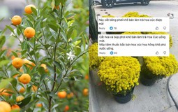 Chớ dại mà tận dụng những thứ này sau Tết kẻo ngộ độc, rước họa vào thân