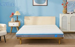 4 mẫu nệm foam được "săn đón" nhất tại iComfy