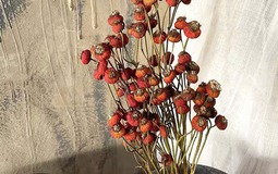 Tháng Giêng giữ 4 thứ này trong nhà: Xui xẻo đủ đường, tài lộc công danh bị chặn đứng