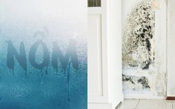 Kinh hoàng: Nấm mốc âm thầm "làm ổ" trong 7 thứ quen thuộc, mùa nồm đến là sinh sôi như vũ bão