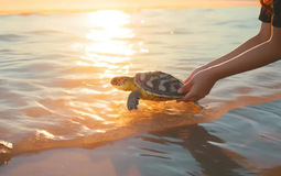 Chỉ cần làm 4 điều này mỗi ngày, vận may tự nhiên tìm đến